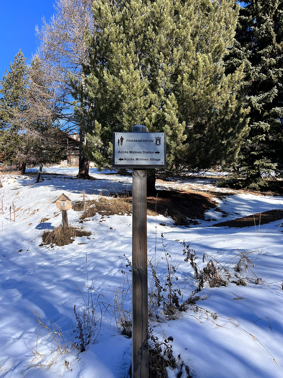 amateur de nature : bienvenue