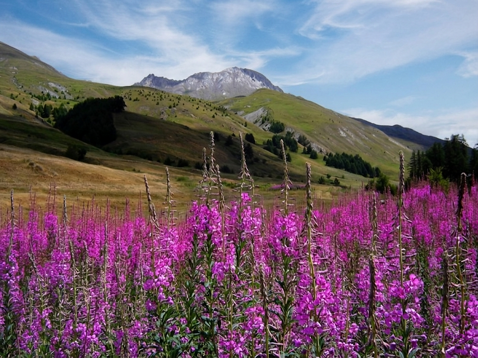 rando sur le Grand Queyras