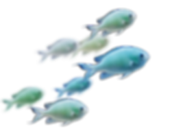 unnamed (1).png