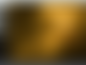 Sol: The Life and Times of Our Celestial Stargate