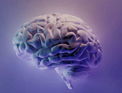 blue and green peacock feather_edited_edited_edited.jpg