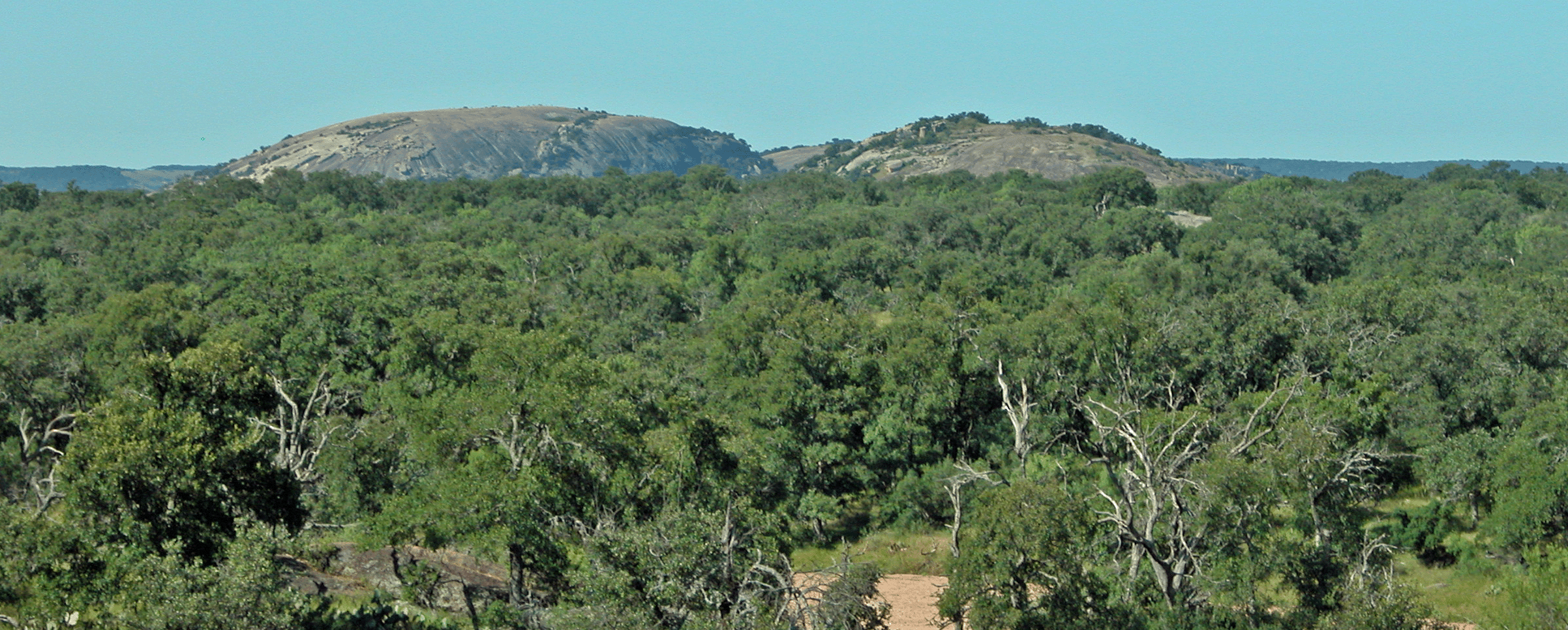 DSCN4610-CJS-c copy.gif