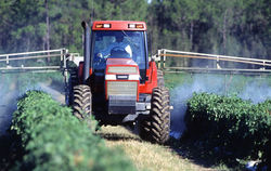 NOTICIAS_2015_INSECTICIDAS_edited