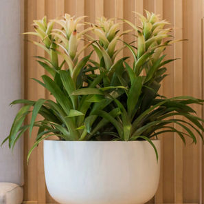 seite+23-1920w.jpg
