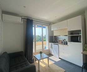 Appartement T2 Ecully – Résidence de standing avec piscine et tennis