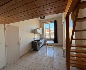 Appartement meublé en duplex - Rue Montesquieu 69007 LYON