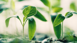 Tips for Success for New Leaders & Managers, part 1