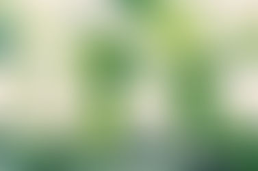 The 6 Roots of attachment