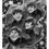 Thumbnail: The Beatles Drawing Print as a Downloadable File