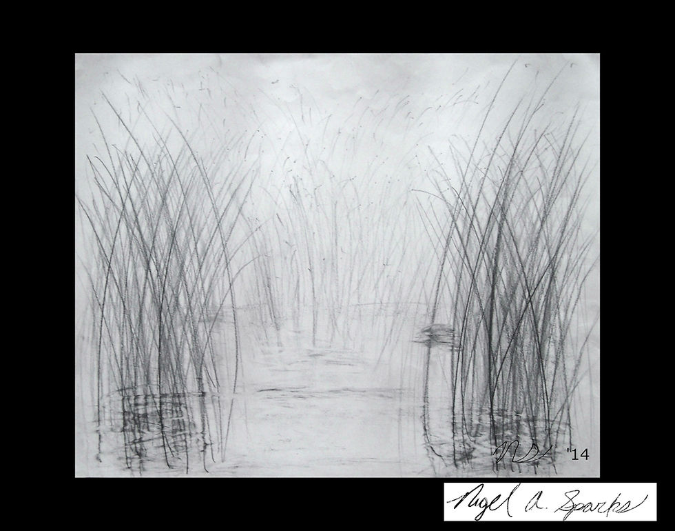Thumbnail: "Grass Swamp" Graphite Drawing Print (Downloadable File)