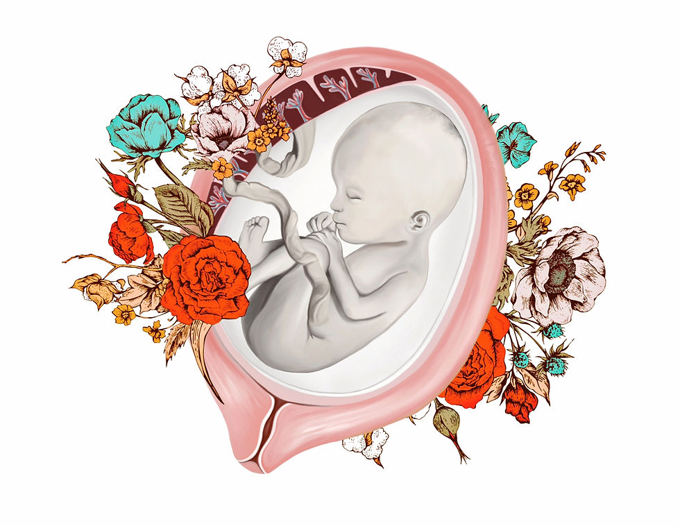 The Language of Birth Baby
