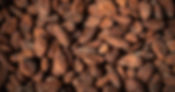 Cacao Ceremony beans