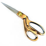 Scissors.jpg