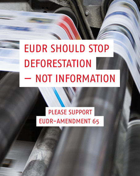 EUDR – Support for Amendment 65: Protecting Europe’s Democratic and Cultural Sectors