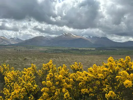 Beer Travels - Scotland