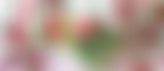 🎄 Christmas Dinner Beer Pairing Guide