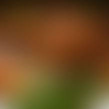 Thanksgiving Beer Pairings