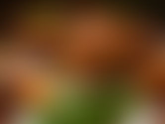 Thanksgiving Beer Pairings