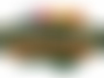 Fantasy Beer League: NC Edition