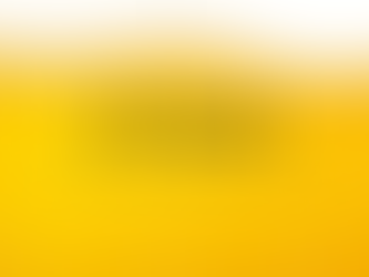 3 Point Beer Review: Radial Spines American Lager by 12 West Brewing Co
