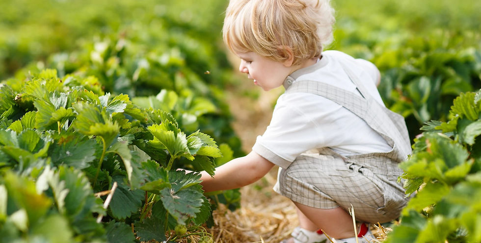 toddler garden.jpg