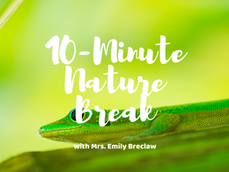 Wednesday, April 8 - Nature Break