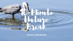 Friday, April 24 - Nature Break