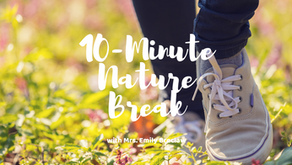 Wednesday, May 6 - Nature Break