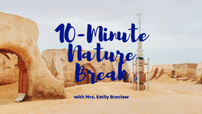 Monday, May 4 - Nature Break