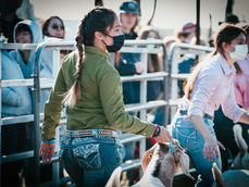 Cowboy Country Goat Show