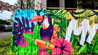 graffiti fresque palissade chantier btp street art rennes