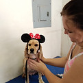 IMG-20210831-WA0024.jpg