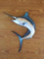 Kingfish