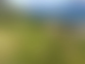 Ã…pning av golfbanen!