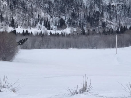 Årets første banerapport 2026