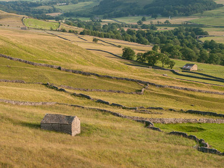 Wharfedale overnight