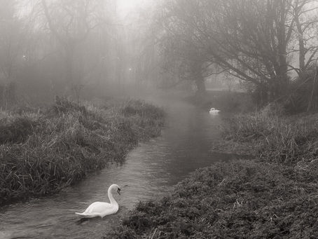 Happy Christmas and here’s to the new year