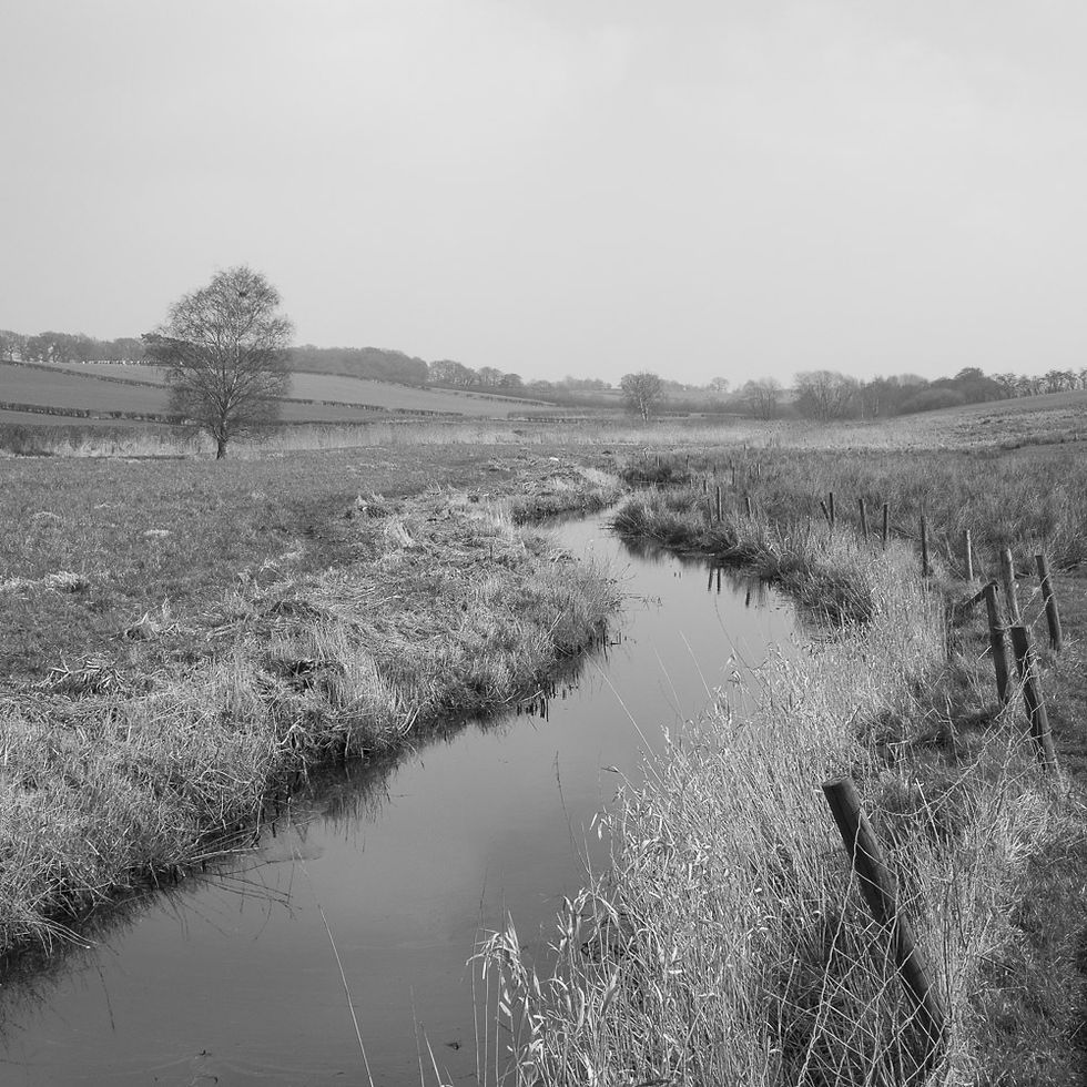 Lightroom B+W panel conversion