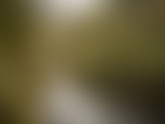 Avoiding the crowds at The Strid