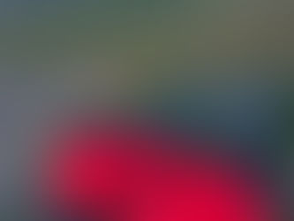 Roughing it for my art