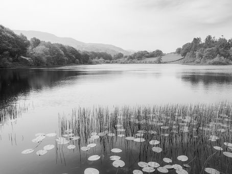 Three monochrome shots