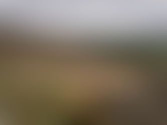 Kentmere round, 20th May 2015