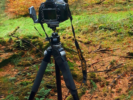 Nikon d610 first impressions