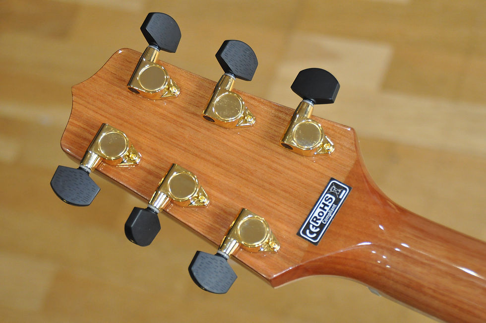 Miniature : TAKAMINE GN93CE NAT Natural / G Series (TC26040564)