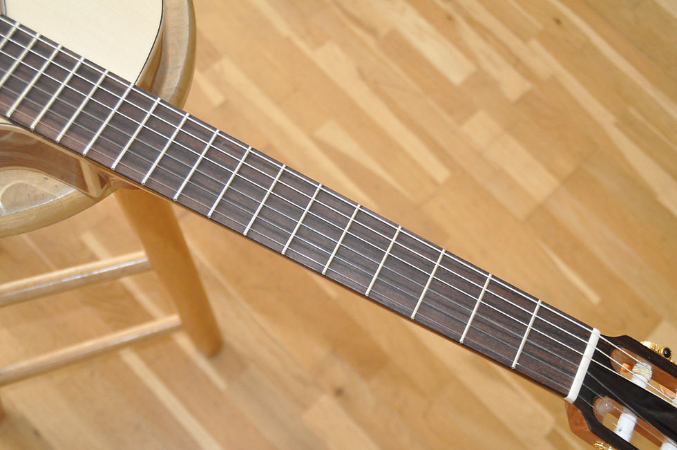 Miniature : KREMONA Rondo R65CW TL 48 Performer Thinline / Made In Europe (25-050-10-02)