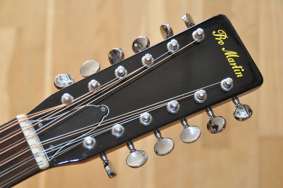 Miniature : PRO MARTIN D-170 12-String Dreadnought / Made In Japan
