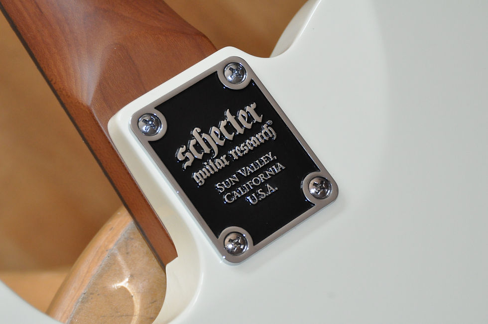 Thumbnail: SCHECTER PT Nick Johnston Signature Atomic Snow / Telecaster (IW22020752)