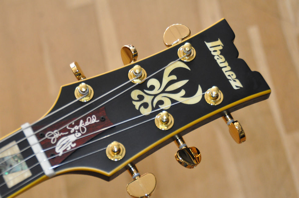 Thumbnail: IBANEZ JSM20 BKL Black Low Gloss / John Scofield Signature (PW25120382)
