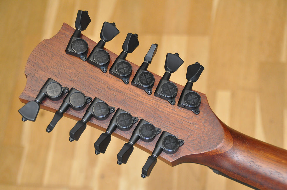 Thumbnail: LAG Sauvage J12CE 12-String Jumbo Electro / Green Guitars Series (2512LT21741)