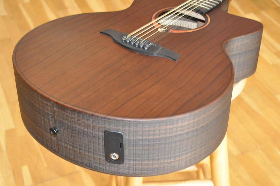 Thumbnail: LAG Sauvage J12CE 12-String Jumbo Electro / Green Guitars Series (2512LT21741)